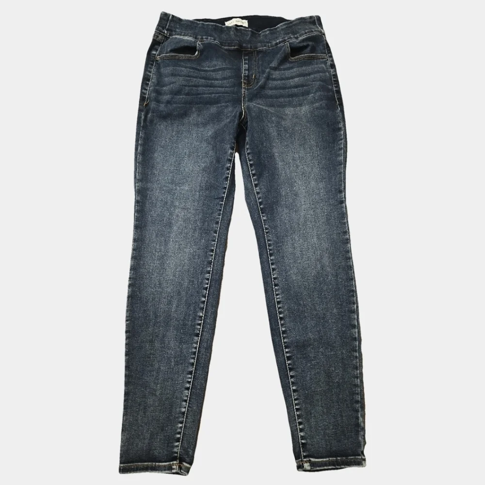 Lane Bryant gap size